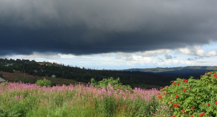 My Bipolar Fantasies of Disappearance, and Why I Always&nbsp;Return