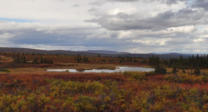 Working with Bipolar Disorder: Choosing Your&nbsp;Profession